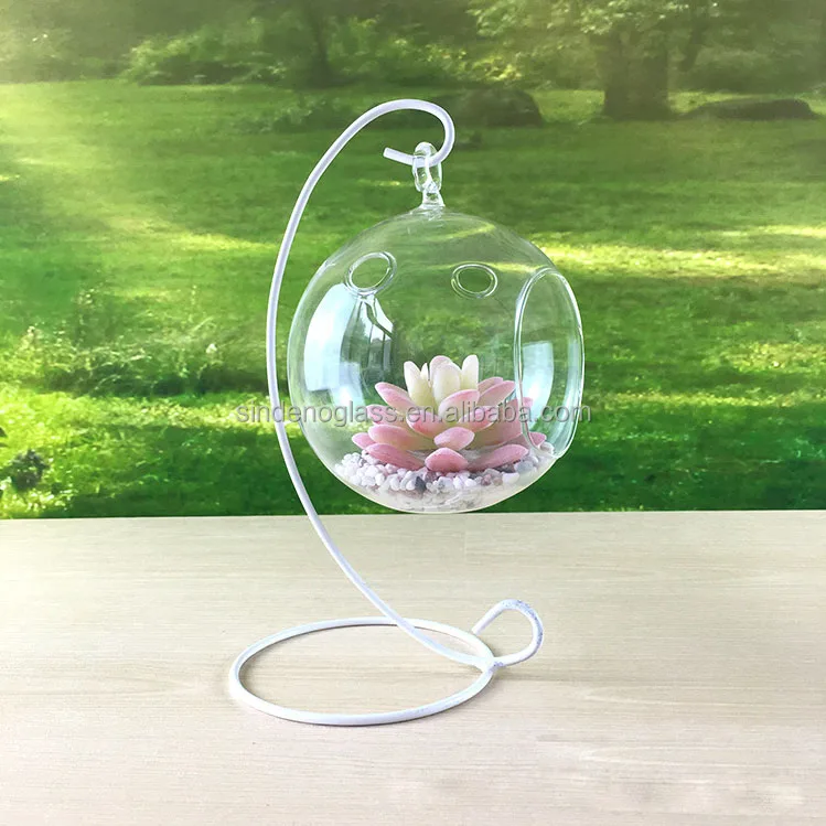 Hanging Glass Planter Round Air Plant Terrarium Glass Decorations for Succulent Tillandsia