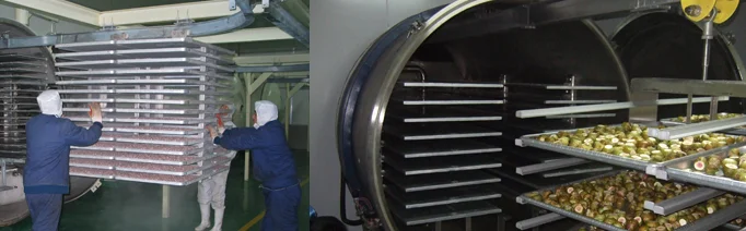 
Vacuum freeze-drying machine/ Vacuum dryer series for vegetable and fruit 