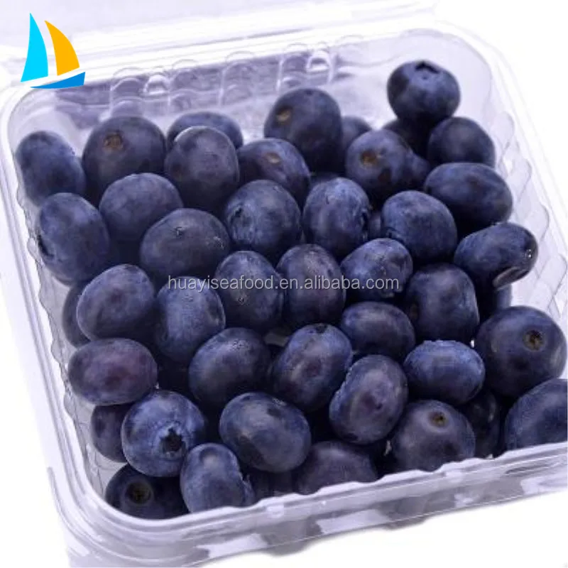IQF Frozen Blueberry Export Price