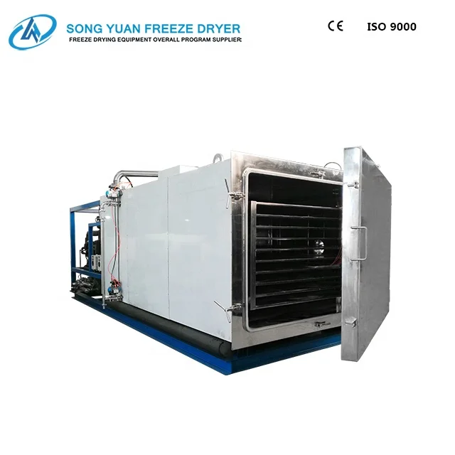 
high quality pharmaceutical freeze dryer with top presser 304/316 Stainless steel GZLY-1 