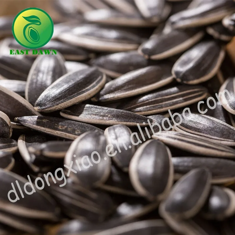 agricultural crops of egypt oil sunflower seed ton price sunflower seeds