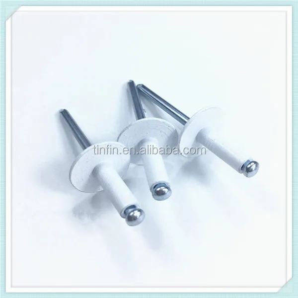 All Kind Colored Large Flange Blind Rivet