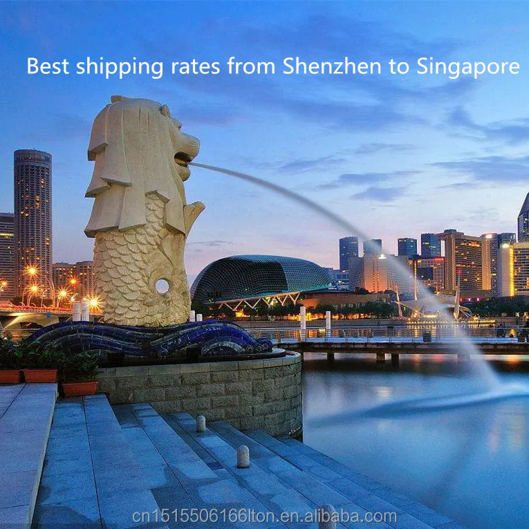 China ocean freight forwarder LCL sea shipment from Shenzhen to SINGAPORE logistics company