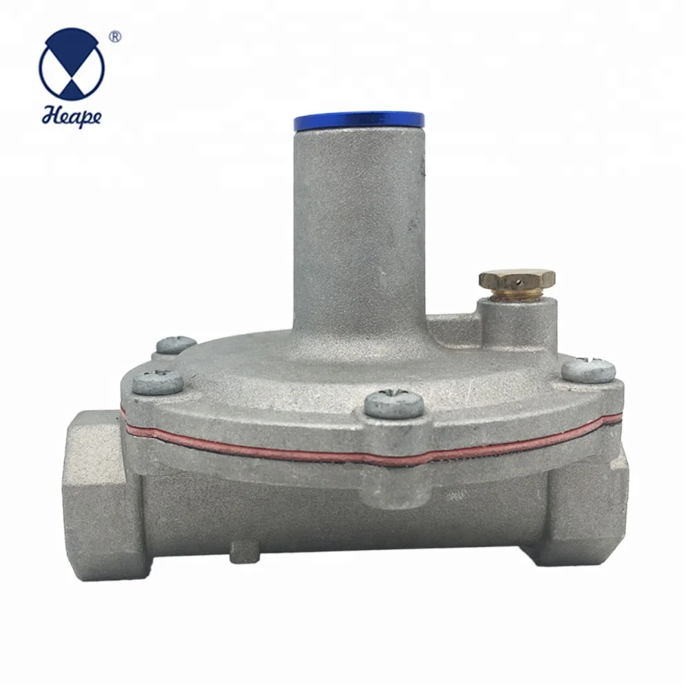 
HEAPE Professional Industrial Gas Regulator 