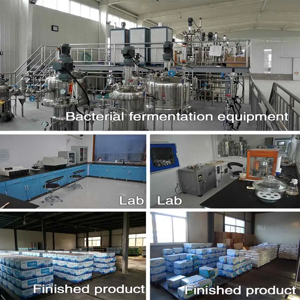 
swine, hoggery, hog, piglet, sow, growing pigs,fattening pigs used lactobacillus acidophilus food supplements 