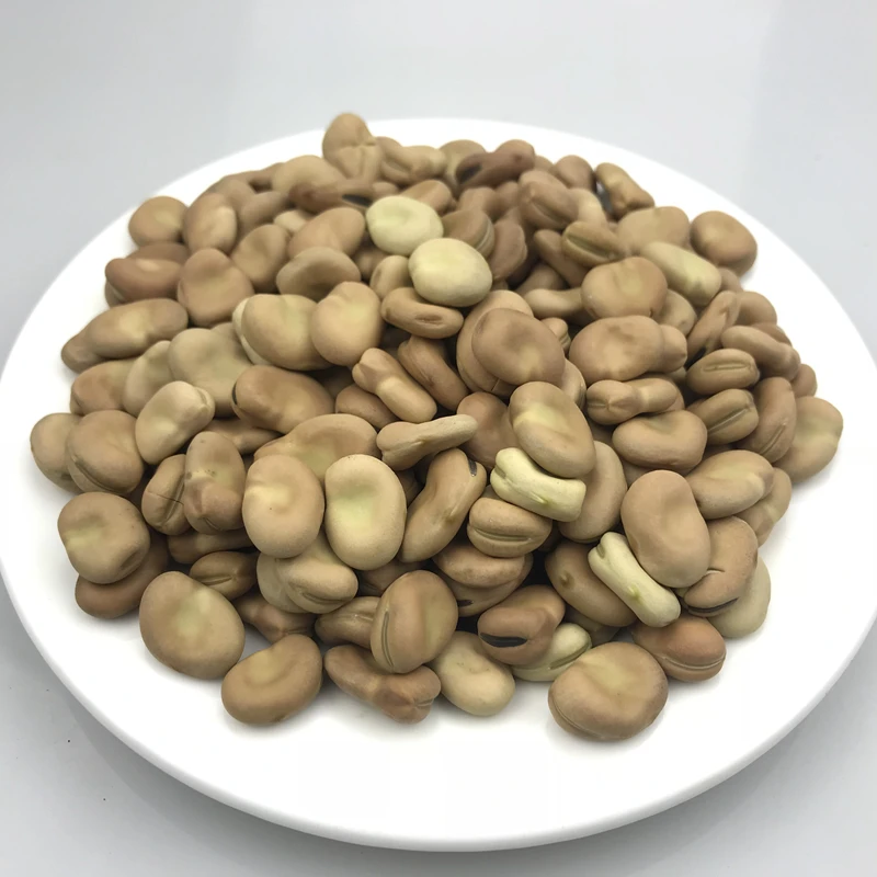 Оптовая продажа, высококачественные сушеные Широкие бобы, фасоль, цена