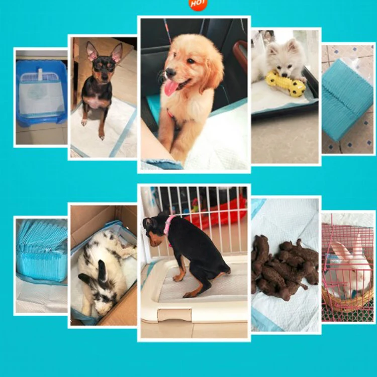 Amazon Hot selling Disposable puppy training pads dog pad