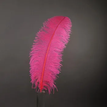 Wholesale Factory Price 24-26in/60-65cm Baby Pink Ostrich Plume Dyed Pattern Feathers for Carnival Costumes