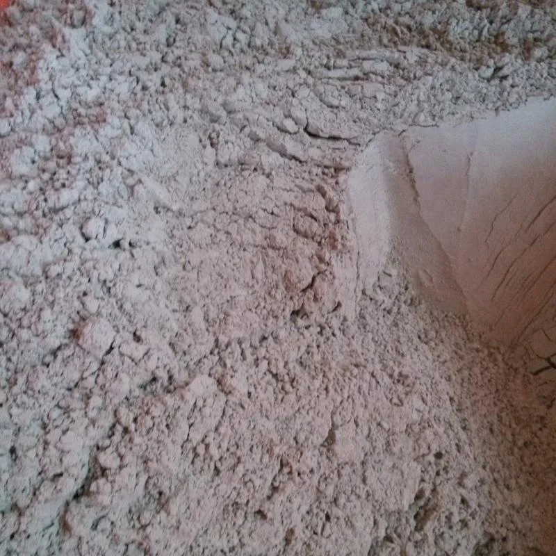 
Diatomite Raw Minerals/Diatomaceous Earth/DE 