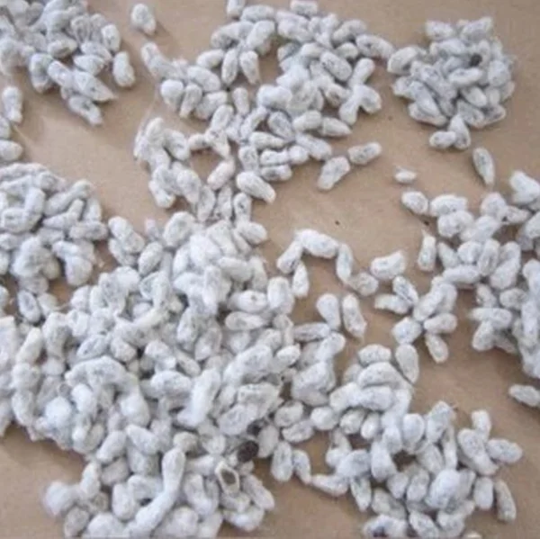 Поставка сушеных хлопковых семян по лучшей