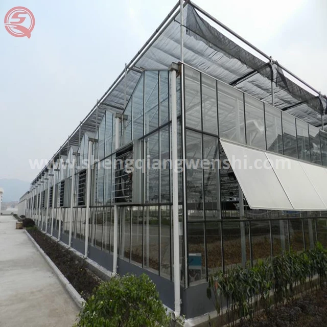 China supplier custom design orchid glass greenhouse
