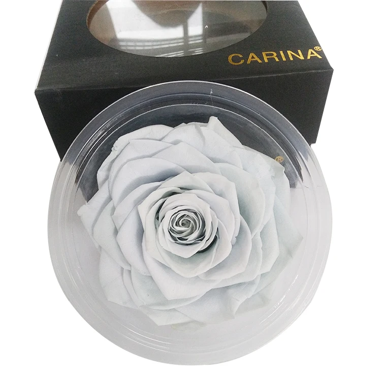 
9-10cm Preserved Rose Head For Ornament Everlasting Flower 