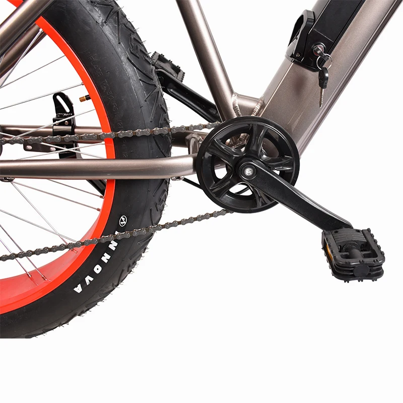 
China Wholesale Chopper Electric Bike for Exercise 