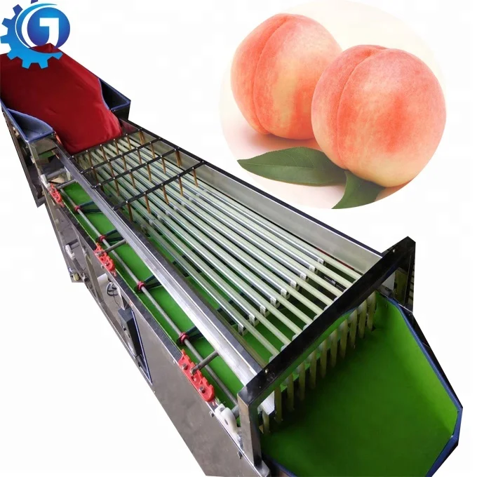 Orbital type fruit automatic sorting machine size grading machine no harm for fruit