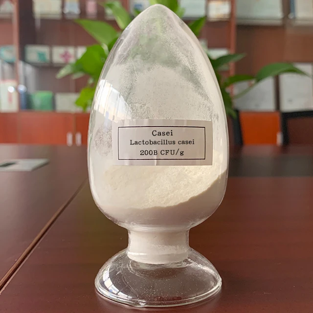 manufacturer of probiotics raw material lactobacillus bacteria price bulk lactobacillus casei