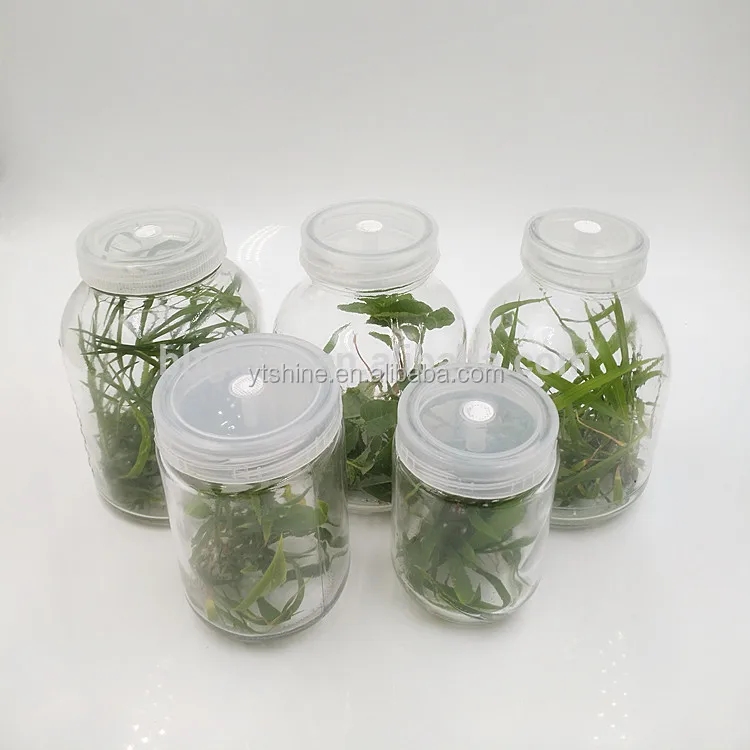 330ml glass plant tissue culture vessel with vented lid