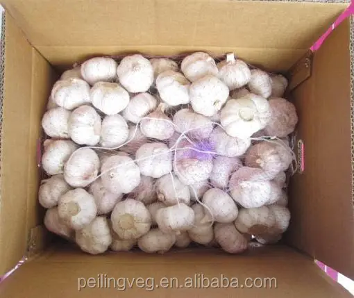 fresh garlic China factory 2018