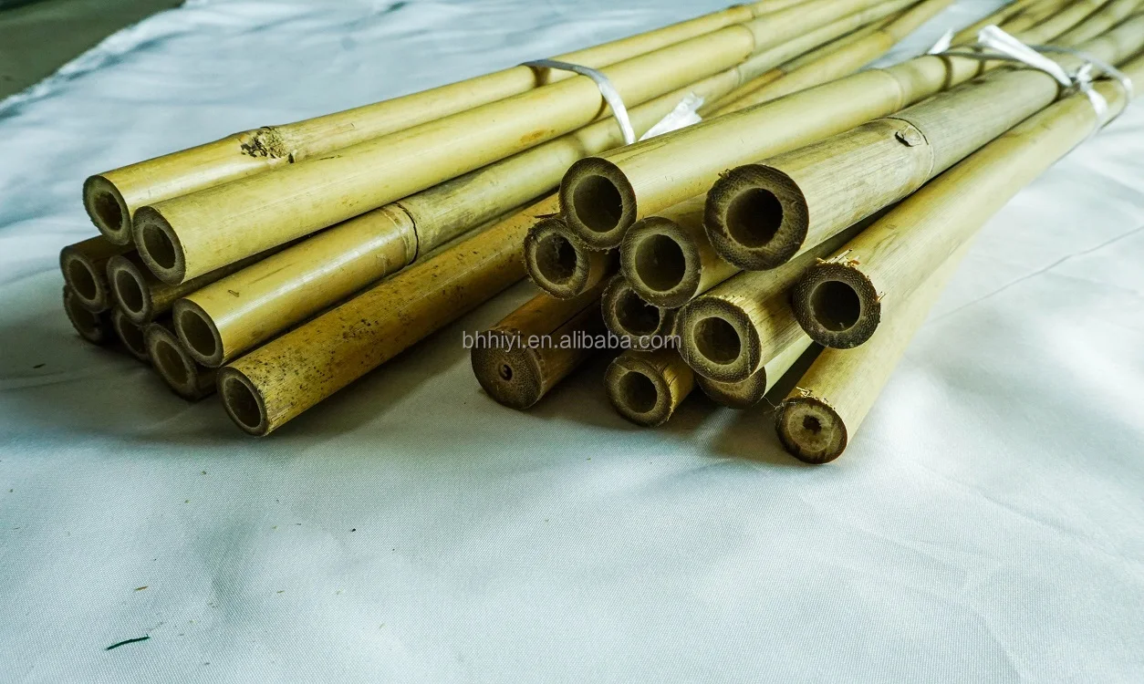 Garden Dried Bamboo Cane Bamboo Stick Bamboo Pole for Planting