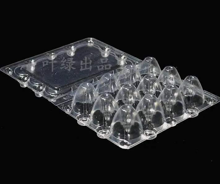 Good Quality 6, 12, 18, 20, 24, 30 Quail Egg Cartons for Sale