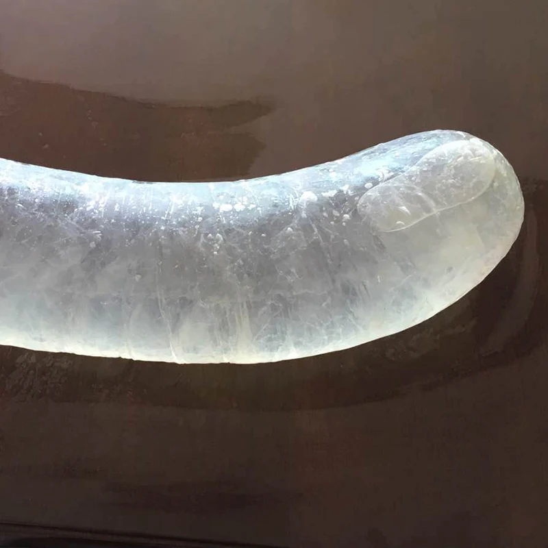 Китай продукции высокого качества 2017 натуральный sausage Борова корпуса