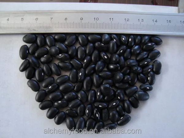 
types of black beans price, kidney beans for sale 