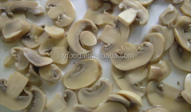 
New Crop canned mushroom champignon in brine 