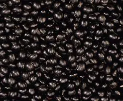 Black Beans With Green Kernel