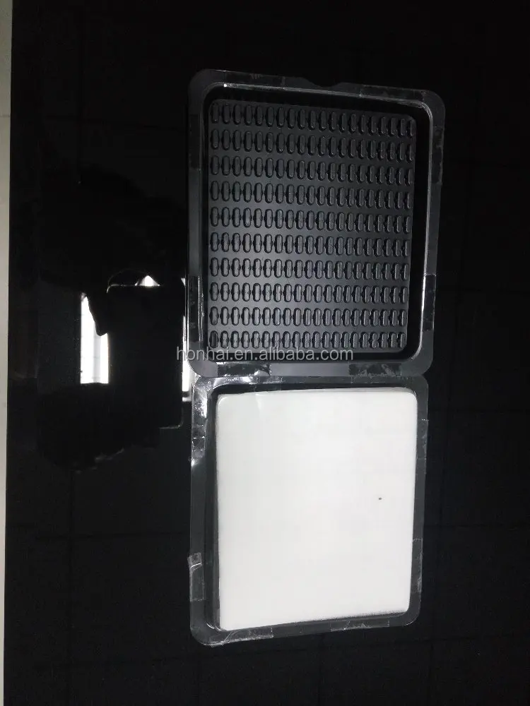 dual glass fiber ferrules