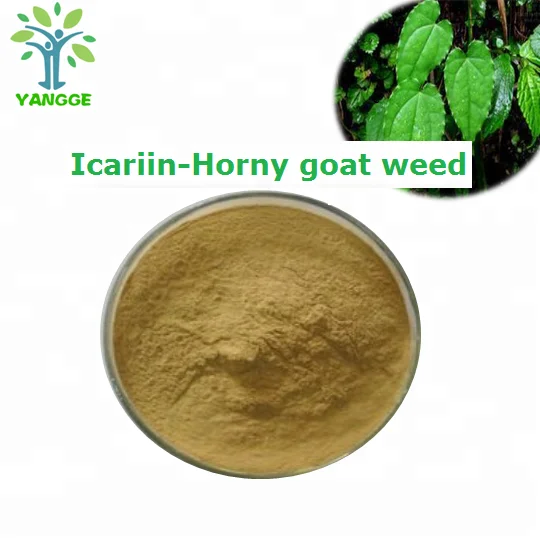 
Top quality Epimedium Extract horny Goad weed powder Icariin 10% 20% CAS 489-32-7 