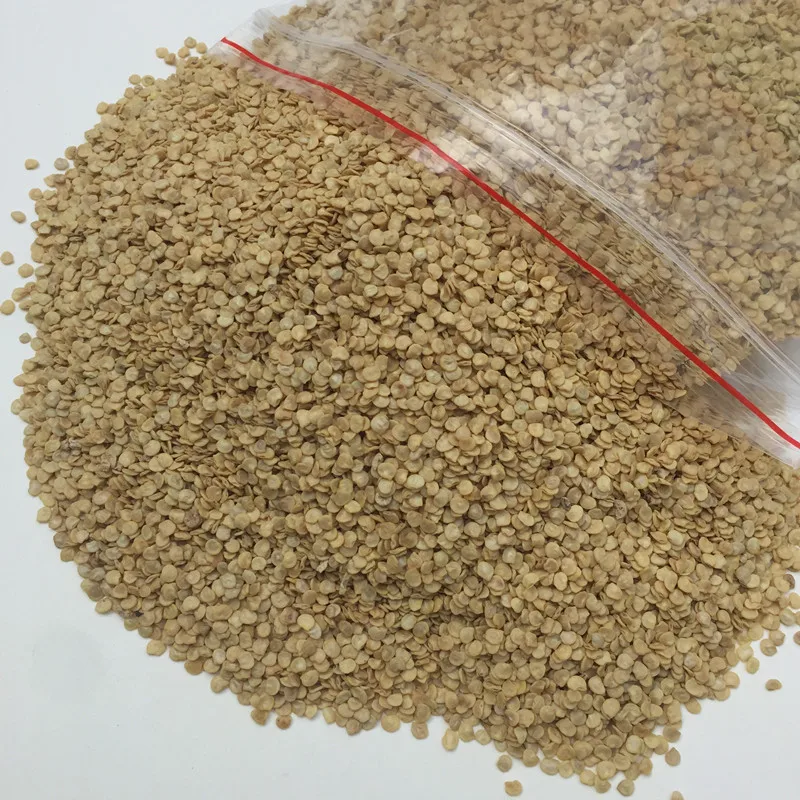 Bulk Green Hot Pepper Seeds, Green Chili Pepper Seeds, Green Chili Seeds