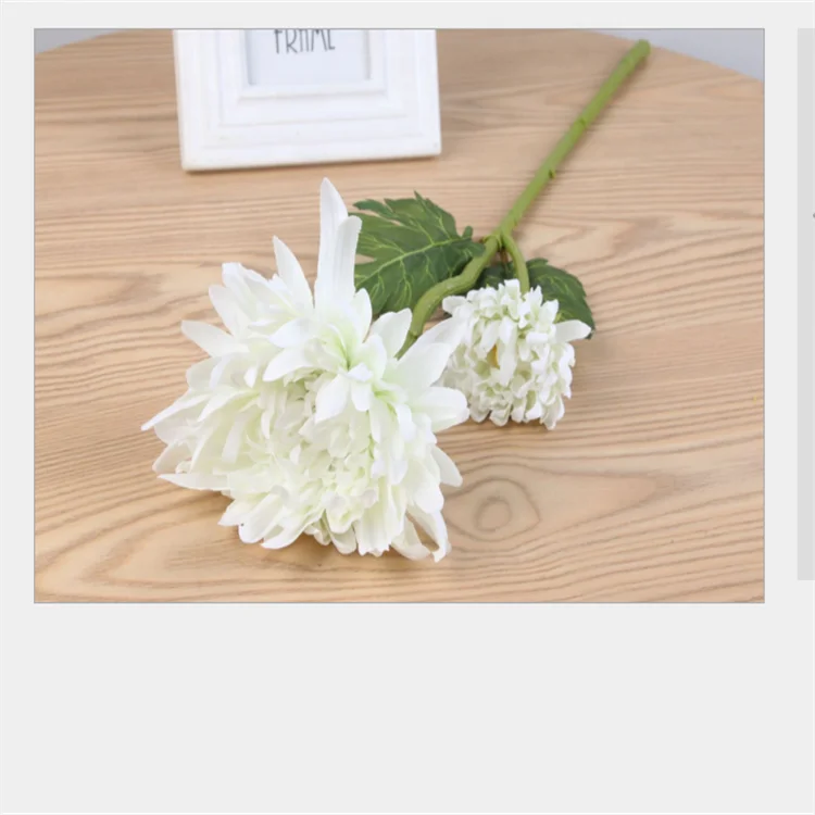 Factory Wholesale Fresh Cut Chrysanthemum For Home Decoration