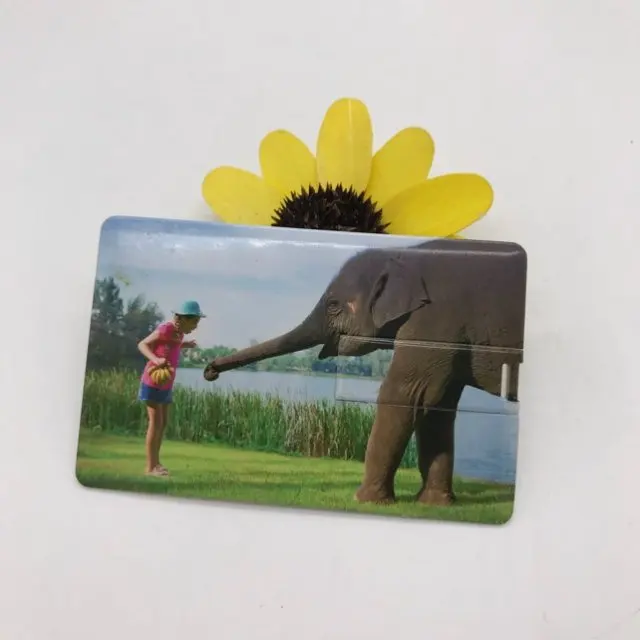 Оптовая продажа высококачественные usb-накопители для карт от профессионального производителя H