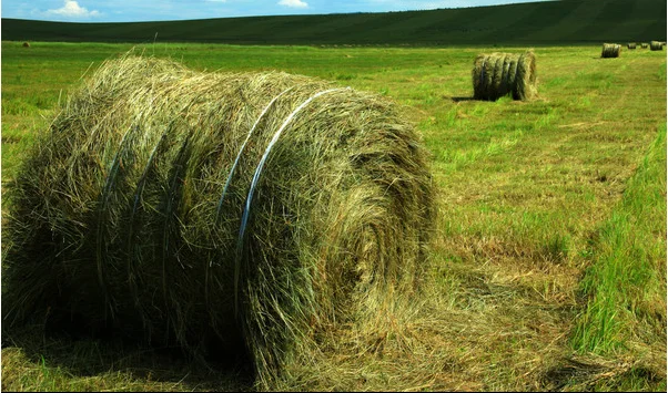 Corn Wheat Rice Grass Reed Mat Cotton Stalk Straw Crusher Rotary Straw Crusher