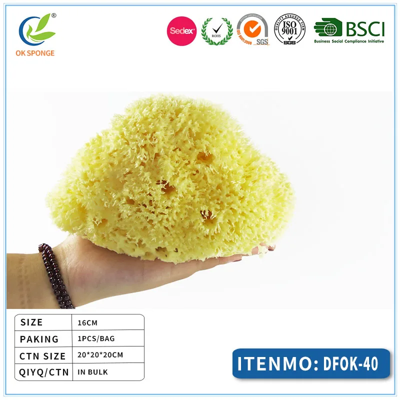 Top level quality honeycomb natural sea sponge bath massage sponge from Greece