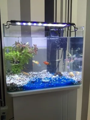 High-efficiency sunrise sunset simulation aqua led aquarium light for aquariums&accessories