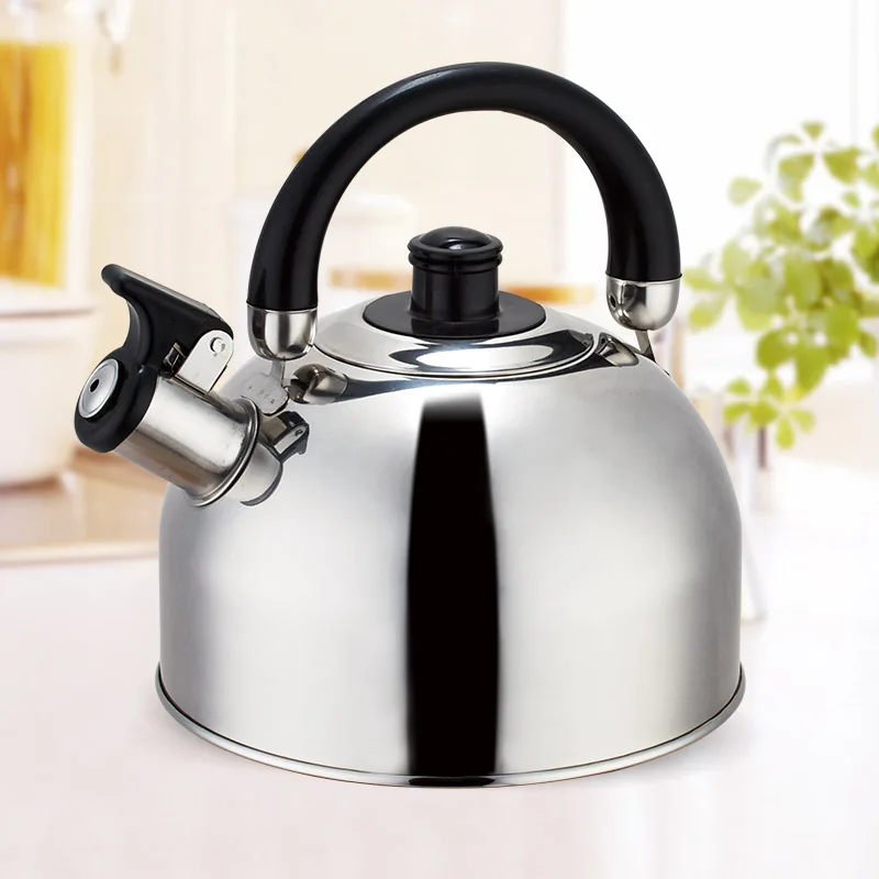 Stainless Steel Whistling Kettle 2.0L Simple For Household Tea 2.5L Induction Cooker Pot 3.0L For Promotion Gift 3.5L Kettle