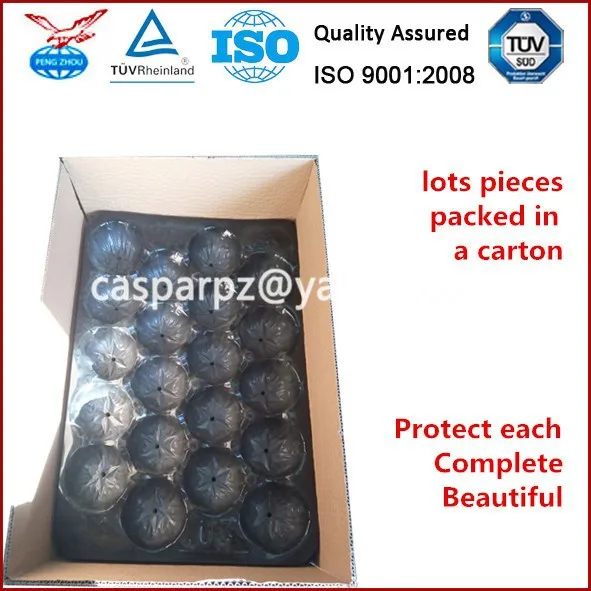 China fruits and vegetables packing layers, plastic fruit tray, fruit packing alveoli wholesales