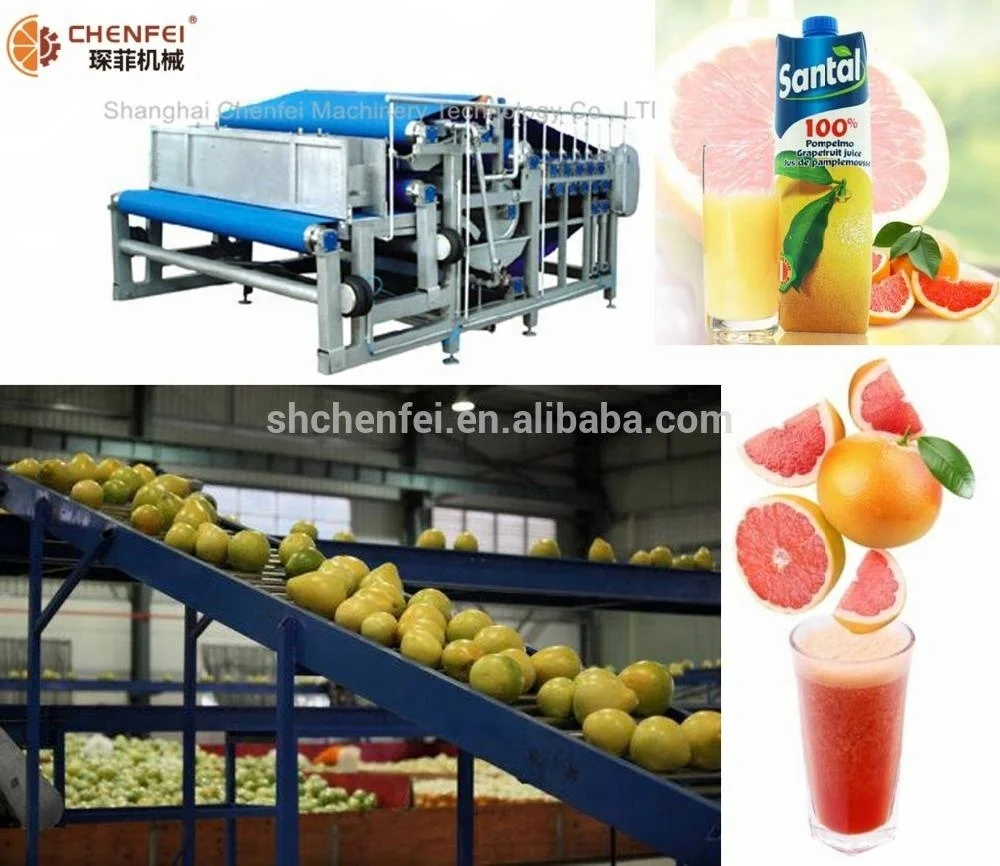 turnkey freezedrying dried fruit and vegetable slices production line project