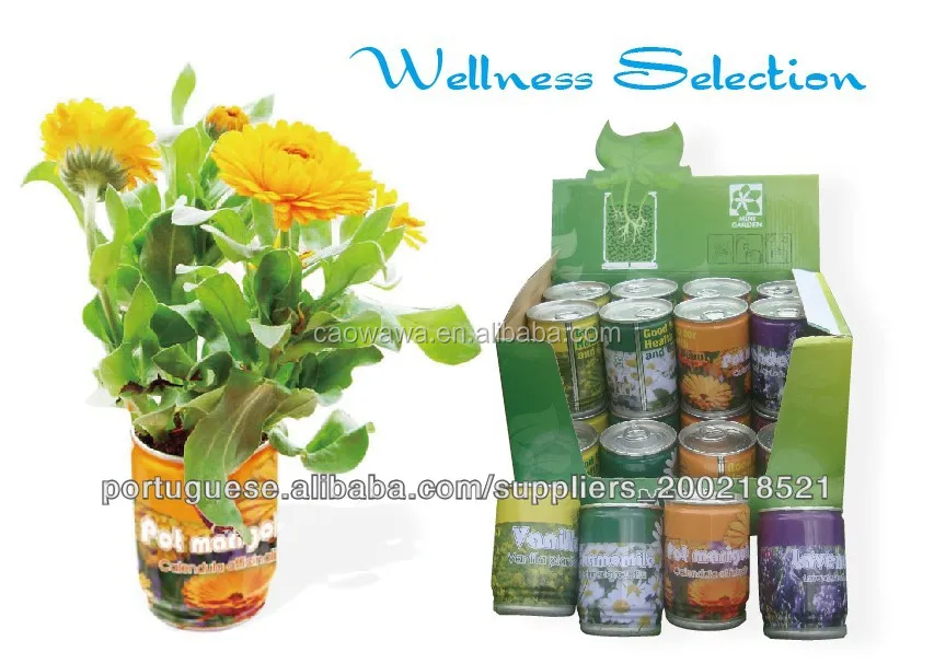 
Herb Seeds Can Flower Tin Pot For Herb promotion gifts 
