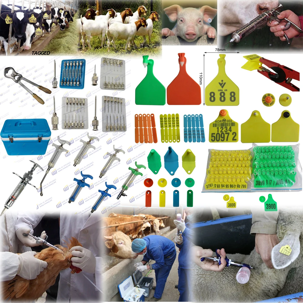 WJ405-BF Veterinary cow blank ear tag tracking security ear tags