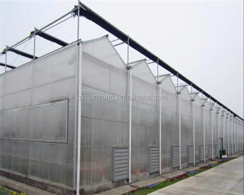 PC sheet steel structure frame house polycarbonate greenhouse with hydroponic system