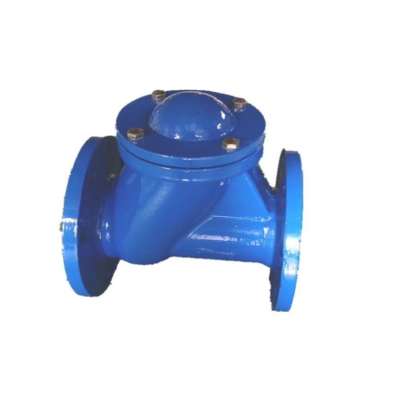 High Quality Chinese Factory  DN300 PN16 Ductile Iron flange y type strainer
