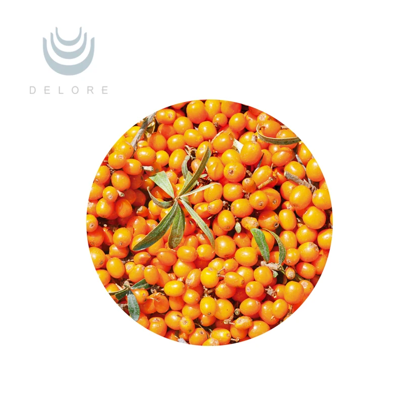  Экстракты растений фруктовое масло хиппопы rhamnoides и облепихи от китайского поставщика