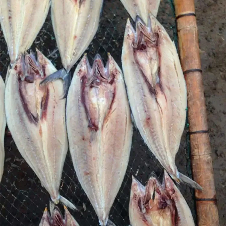 Cheap fish cutting machine fish processing killing equipment for sale