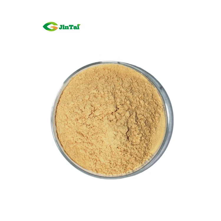 80% UV Panaxoside Ginseng Root Extract Ginseng Products Ginsenoside
