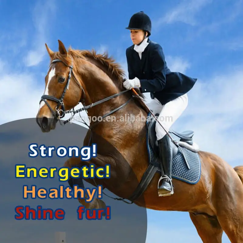 The horse prebiotics animal feed 1