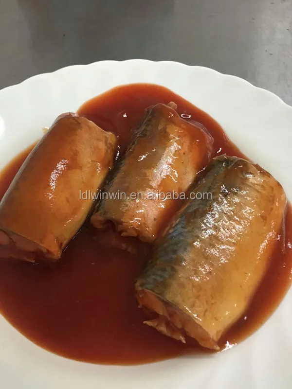 
425G CANNED SARDINE IN TOMATO SAUCE IN OVAL CAN FOR SOUTH AMERICA MARKET 