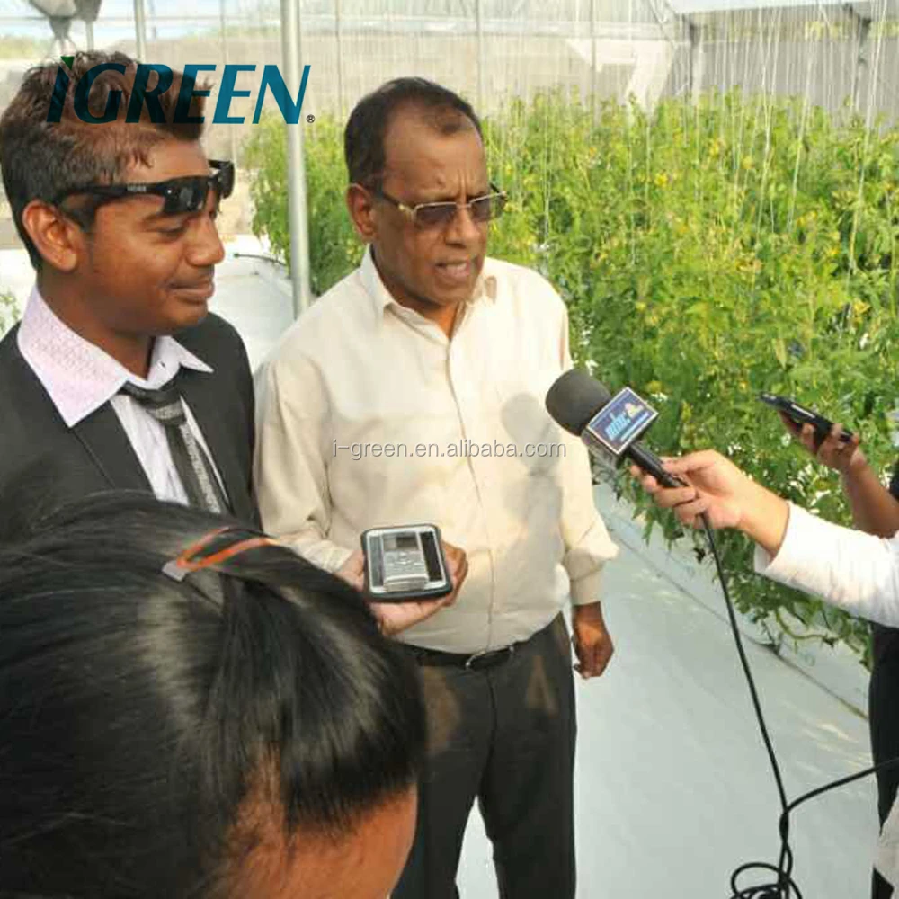 HOT sale natural ventilation greenhouse for tomato