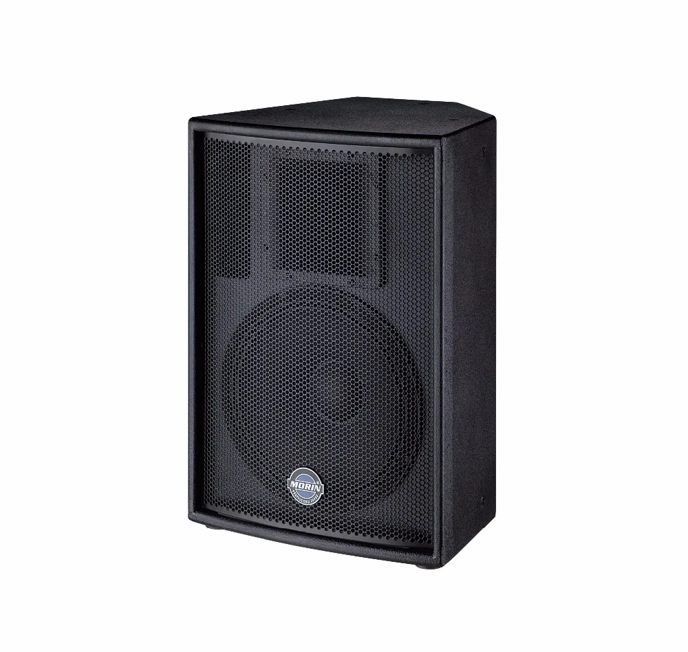 Professional speaker 15nch with 350W rated power, 8ohm for disco and meeting Morin F-15