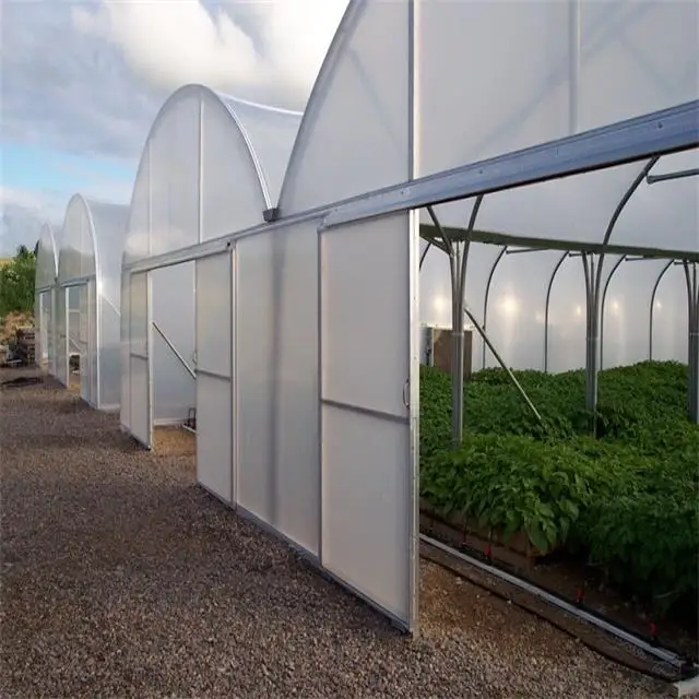 Agriculture plastic large multi span greenhouse for sale